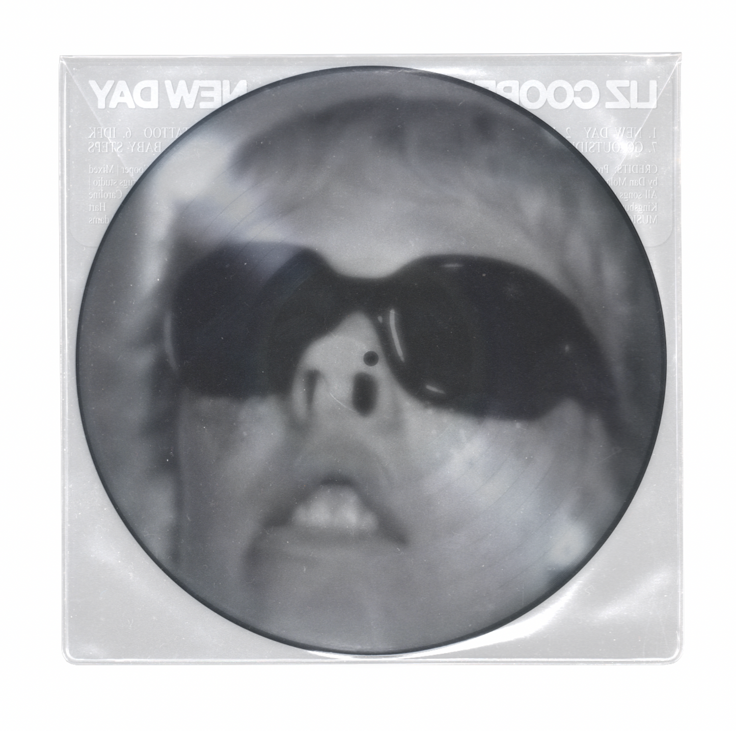 [Pre-Order] New Day - Limited Edition Picture Disc Vinyl