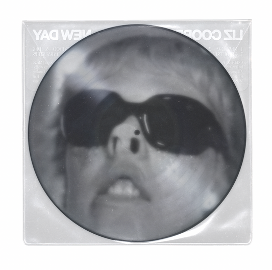 [Pre-Order] New Day - Limited Edition Picture Disc Vinyl